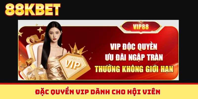 Đặc quyền VIP dành cho hội viên
